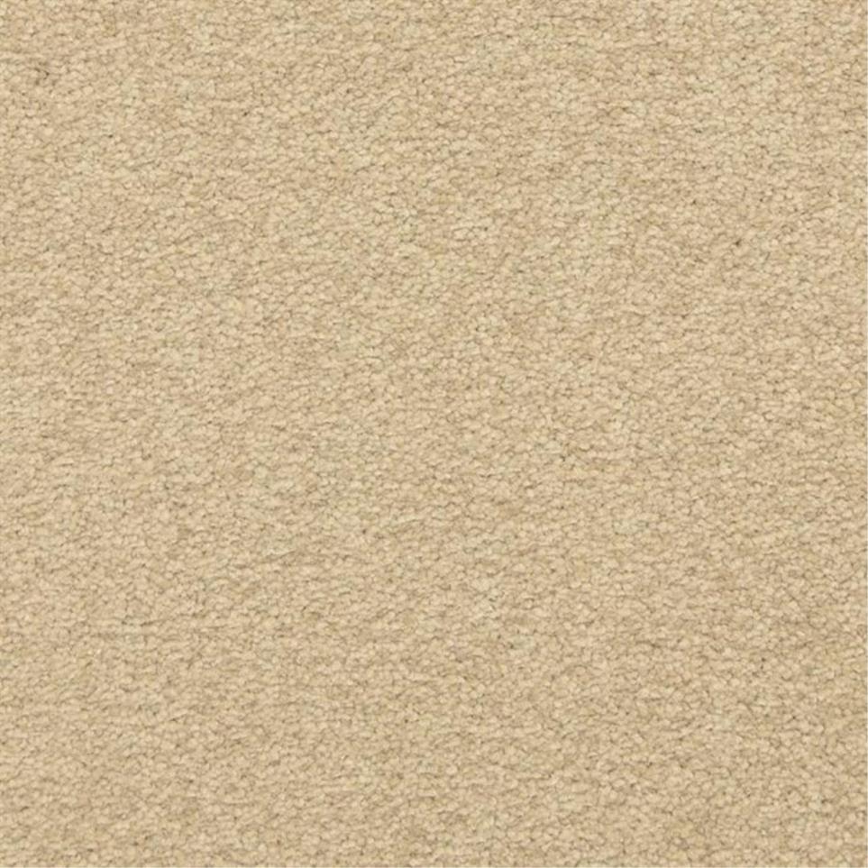 Casual Texture Secluded Beige/Tan Carpet