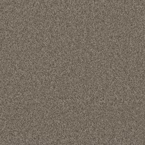 Textured Saxony Outsider Beige/Tan Carpet