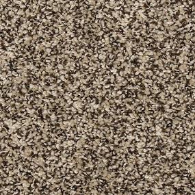 Textured Saxony Outsider Beige/Tan Carpet