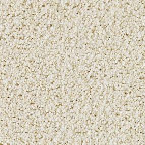 Textured Saxony Ancestral Beige/Tan Carpet