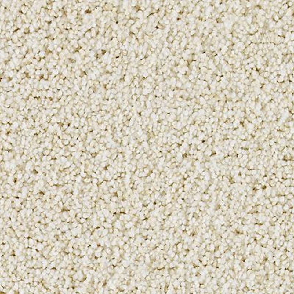 Textured Saxony Ancestral Beige/Tan Carpet