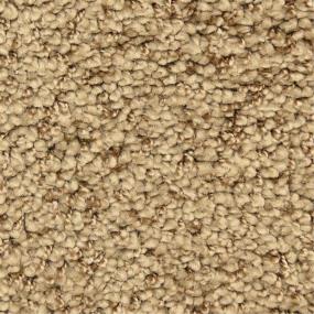 Casual Texture Harmonious Beige/Tan Carpet