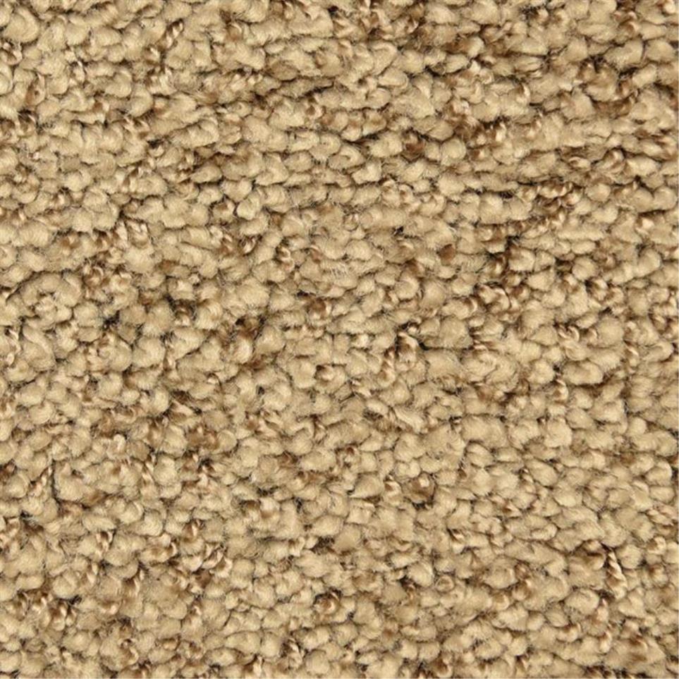 Casual Texture Harmonious Beige/Tan Carpet
