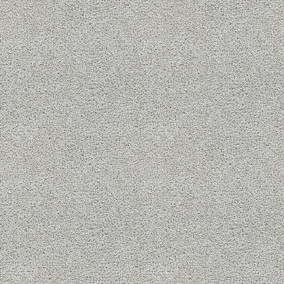 Textured Saxony Alliance Gray Carpet