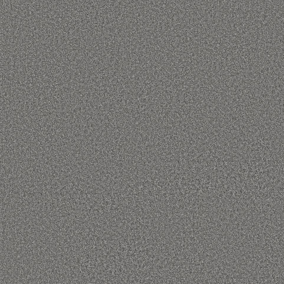 Cut Pile Concrete Gray Carpet