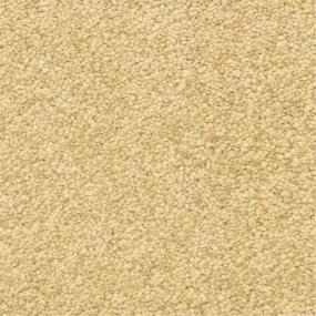 Casual Texture Rough Hewn Beige/Tan Carpet