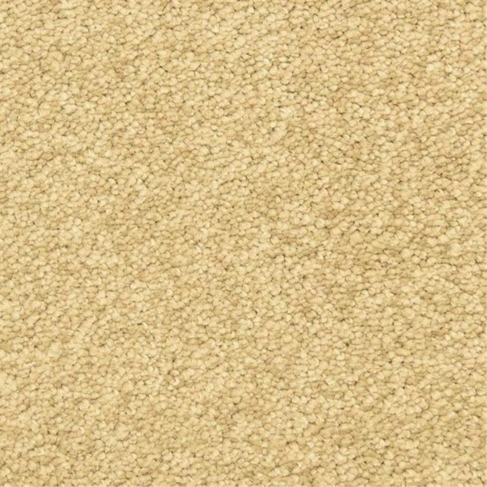 Casual Texture Rough Hewn Beige/Tan Carpet