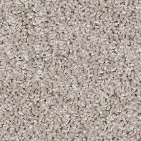 Texture Shine Gray Carpet