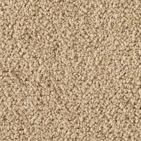 Textured Saxony Optimism Beige/Tan Carpet