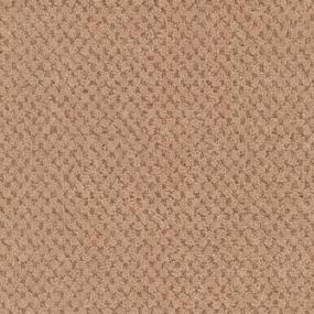 Terra Cotta