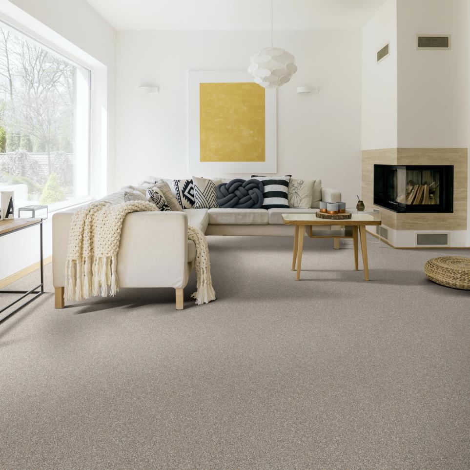 Textured Saxony SPLIT SEDIMENT Gray Carpet