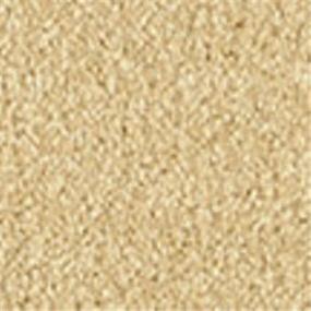 Casual Texture Honey Harbor Beige/Tan Carpet