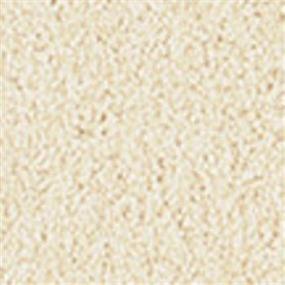 Casual Texture Beach Front Beige/Tan Carpet