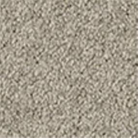 Casual Texture Stonebridge Beige/Tan Carpet