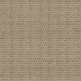 Pattern Outer Banks Beige/Tan Carpet