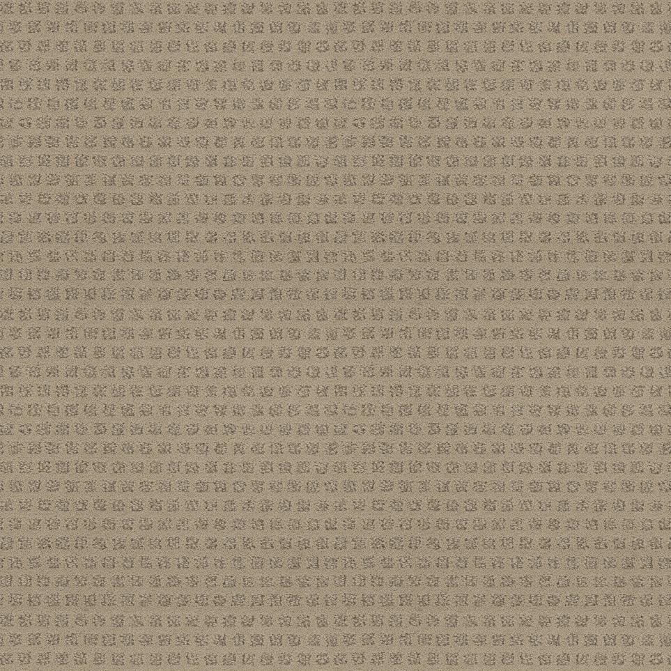 Pattern Outer Banks Beige/Tan Carpet