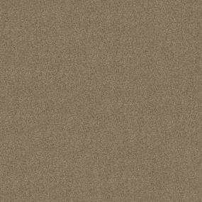 Textured Saxony Sahara Brown Carpet