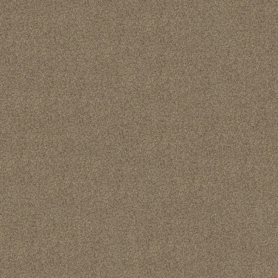 Textured Saxony Sahara Brown Carpet