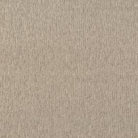 Pattern Chiffon Beige/Tan Carpet