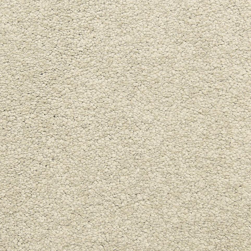 Texture Shaded Beige/Tan Carpet
