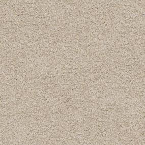 Textured Saxony On The Edge Beige/Tan Carpet