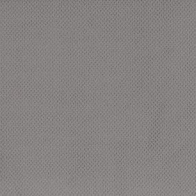 Loop Flannel Gray Carpet