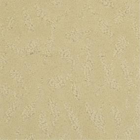 Pattern Afterglow Beige/Tan Carpet