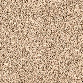 Textured Saxony Contempo Brown Carpet