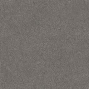 Texture Mole Gray Carpet