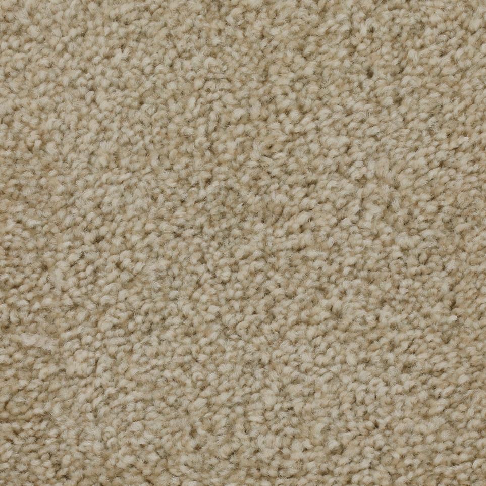 Pattern Coastal Brown Carpet