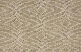 Pattern Brush Beige/Tan Carpet