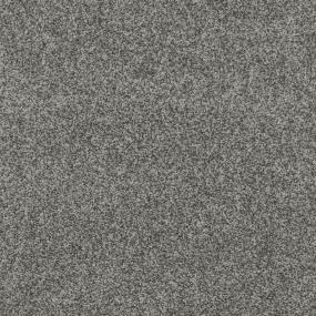 Casual Texture Pewter Gray Carpet