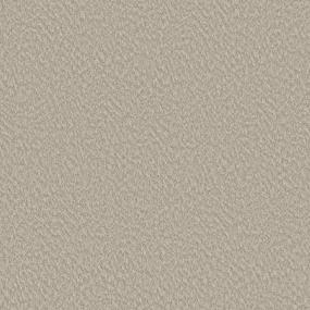 Pattern Country Cottage Beige/Tan Carpet
