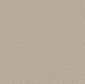 Pattern Country Cottage Beige/Tan Carpet