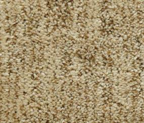 Pattern Cedar Shingles Beige/Tan Carpet