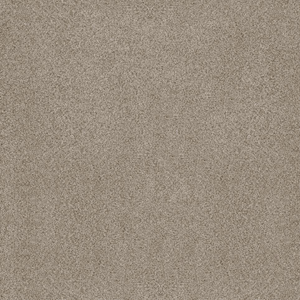 Plush High Noon Beige/Tan Carpet