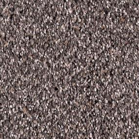Berber Wrought Iron Gray Carpet