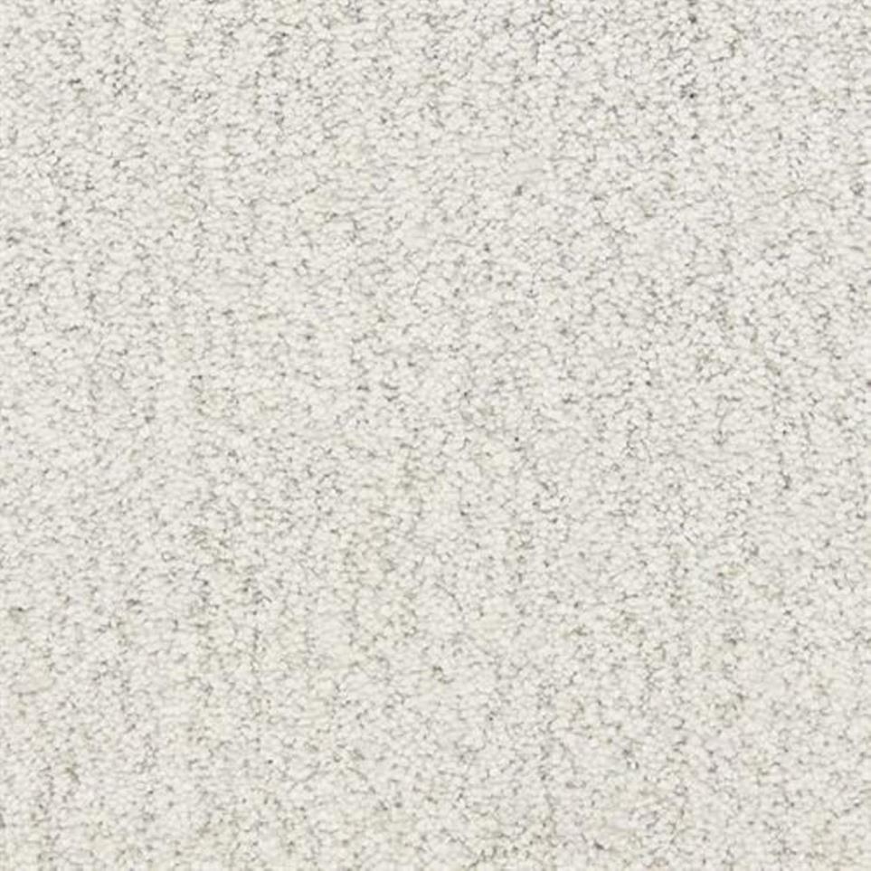 Textured Saxony Presidio White Carpet