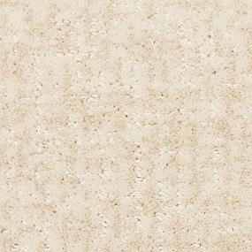 Woven Tango Beige/Tan Carpet