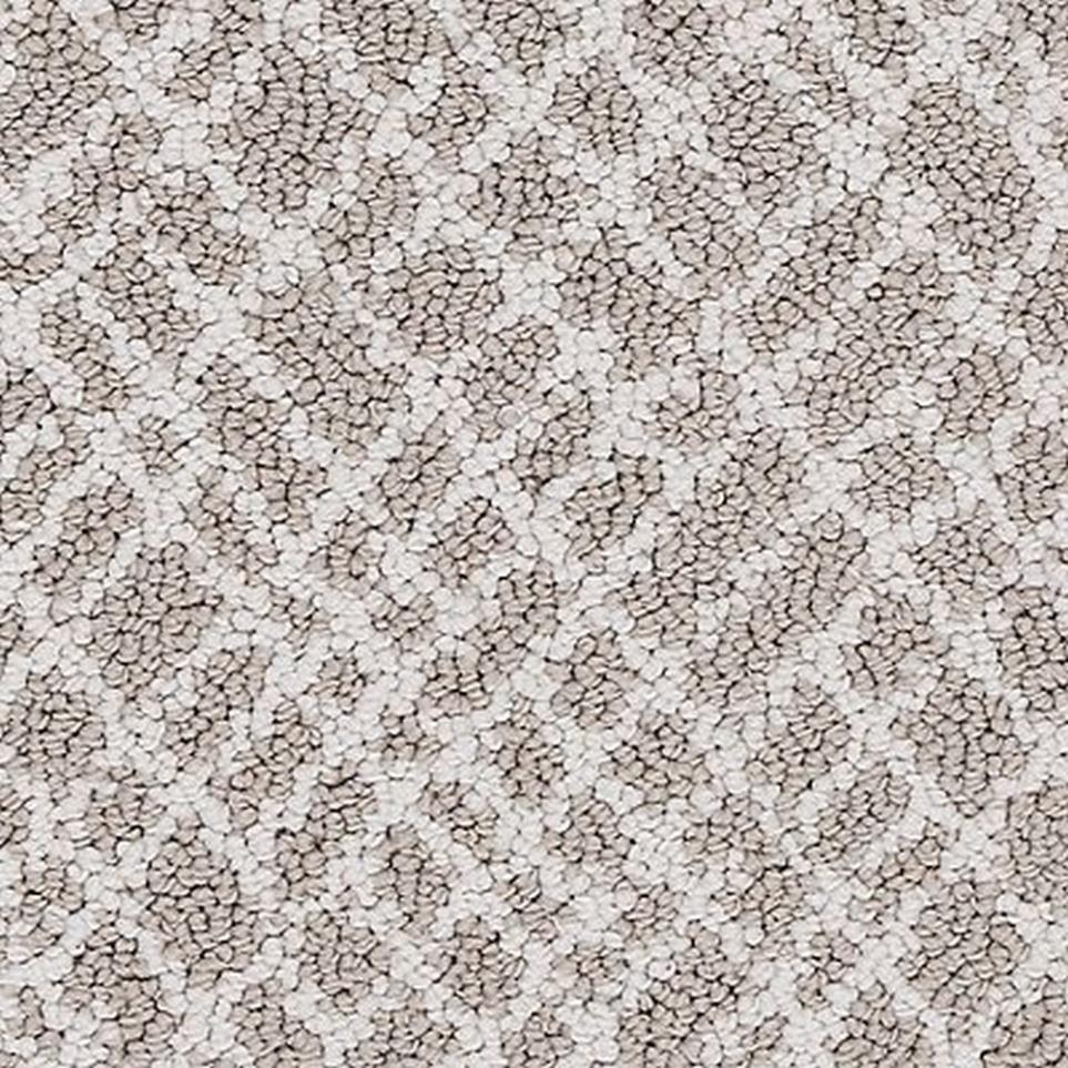 Loop Neutral Tint Gray Carpet