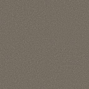 Texture BARN BEAM Gray Carpet