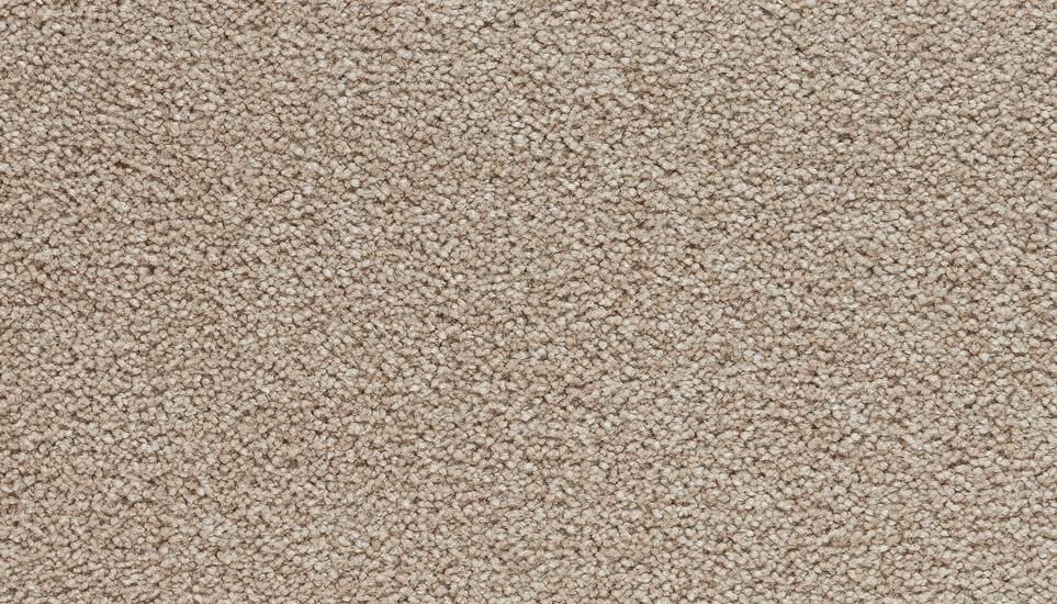 Textured Saxony Natural Husk Brown Carpet