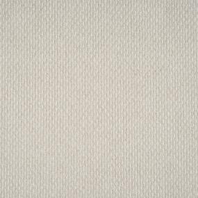 Cotton Tail Beige/Tan Carpet
