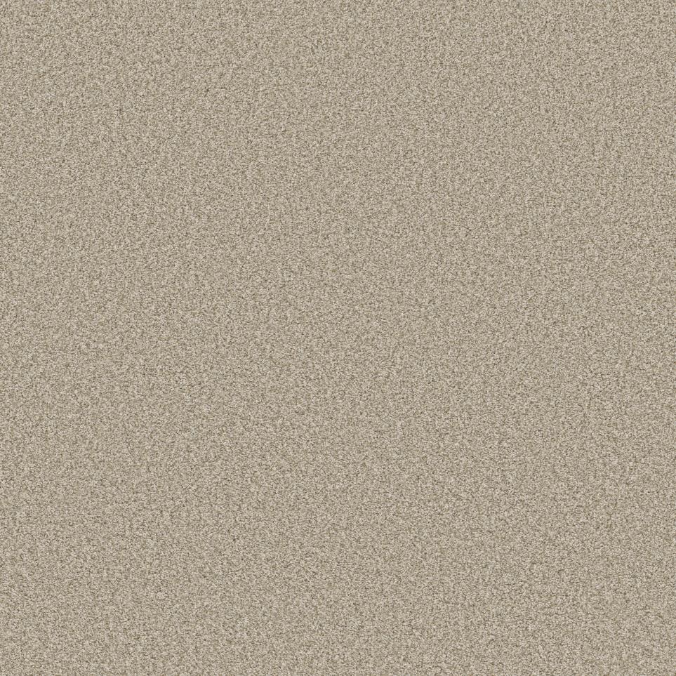 Textured Saxony Macadamia Beige/Tan Carpet