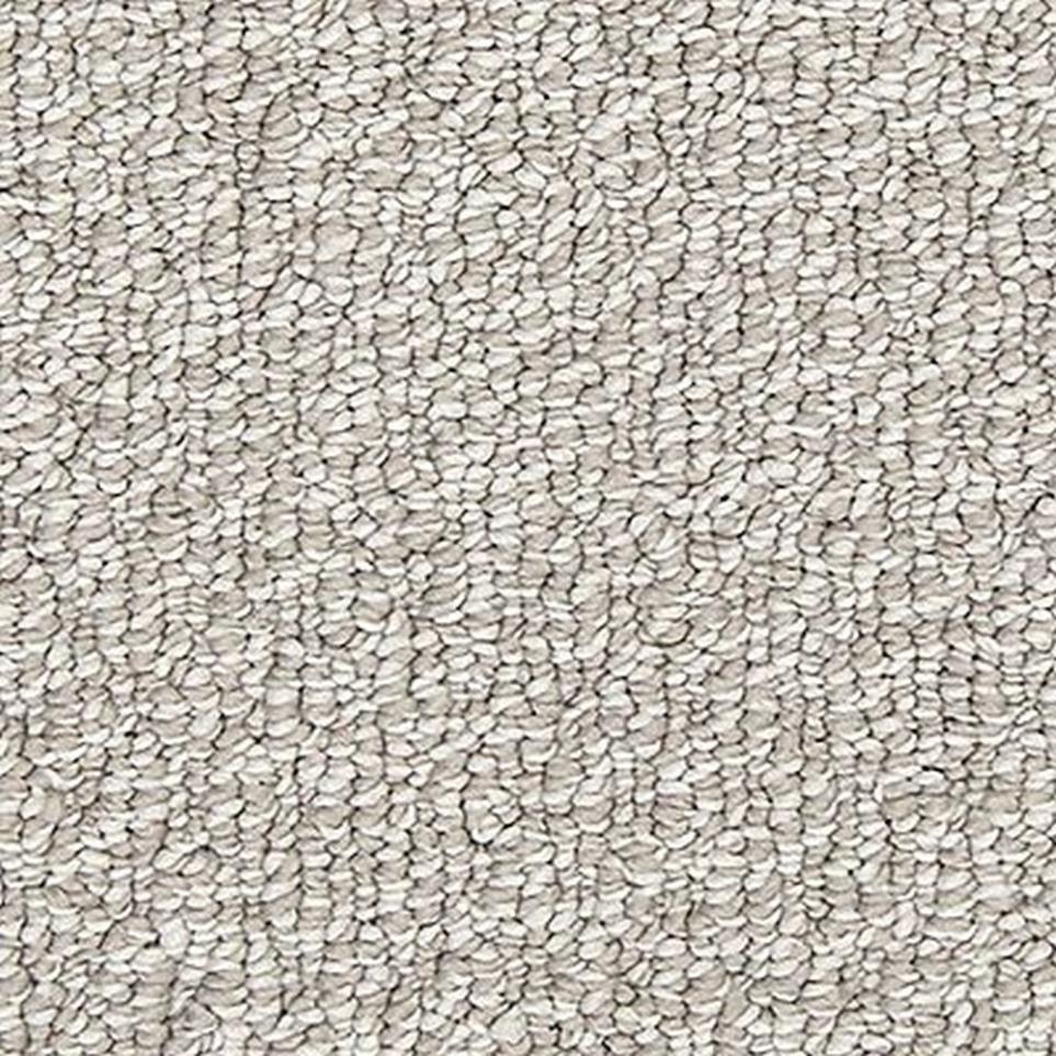 Loop Delmar Gray Carpet