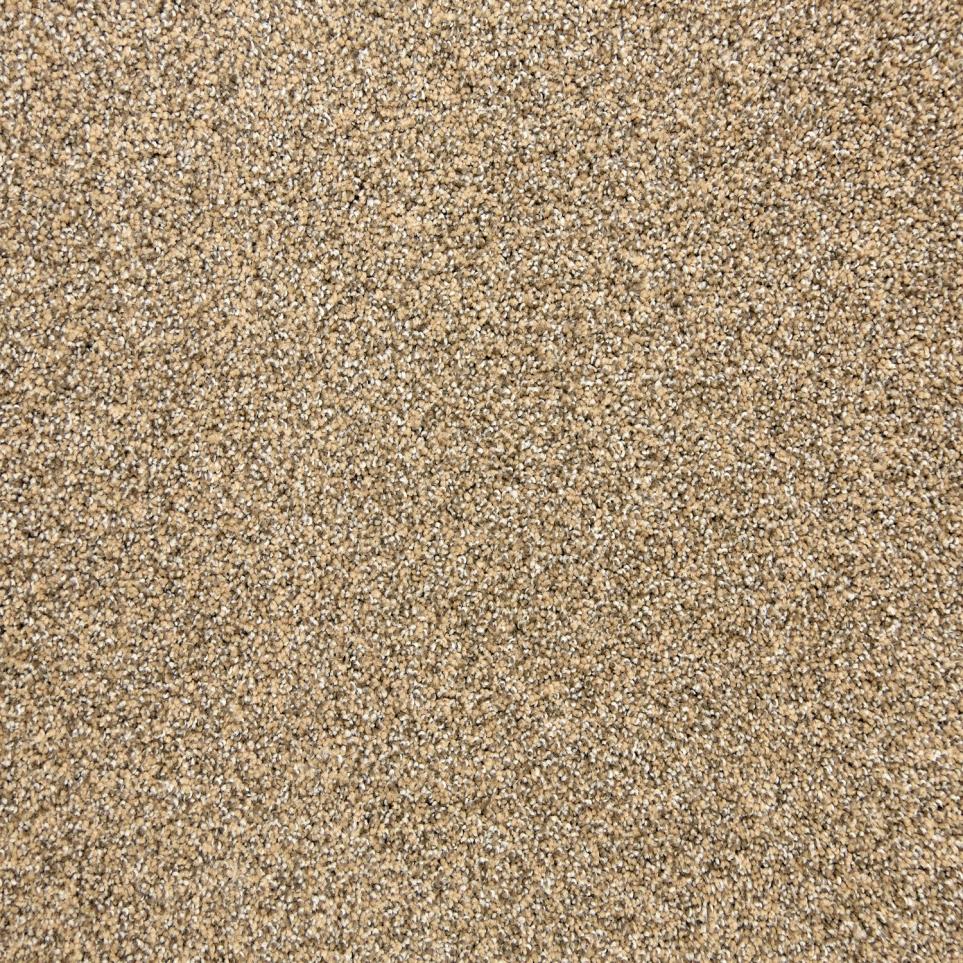 Texture Bronze Beige/Tan Carpet