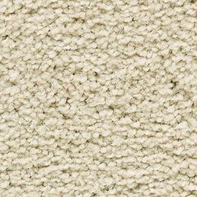Textured Saxony Gilded Beige/Tan Carpet