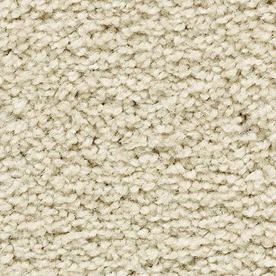 Textured Saxony Gilded Beige/Tan Carpet