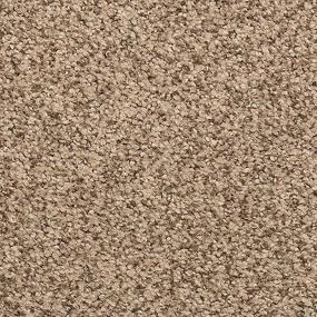 Textured Saxony Dark Vanilla Brown Carpet