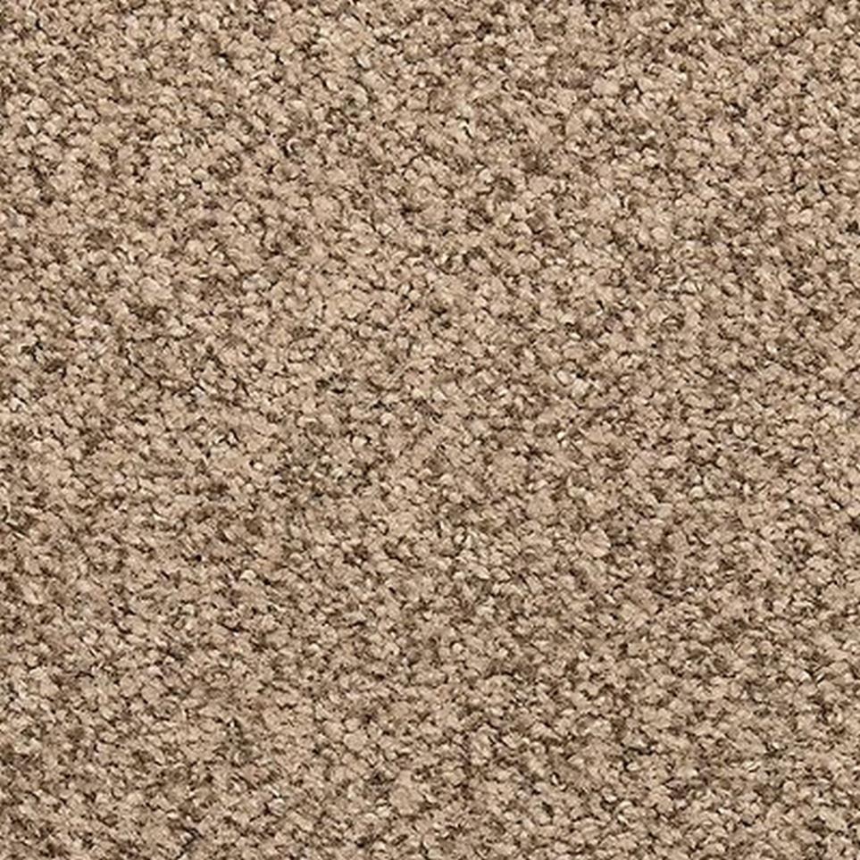 Textured Saxony Dark Vanilla Brown Carpet